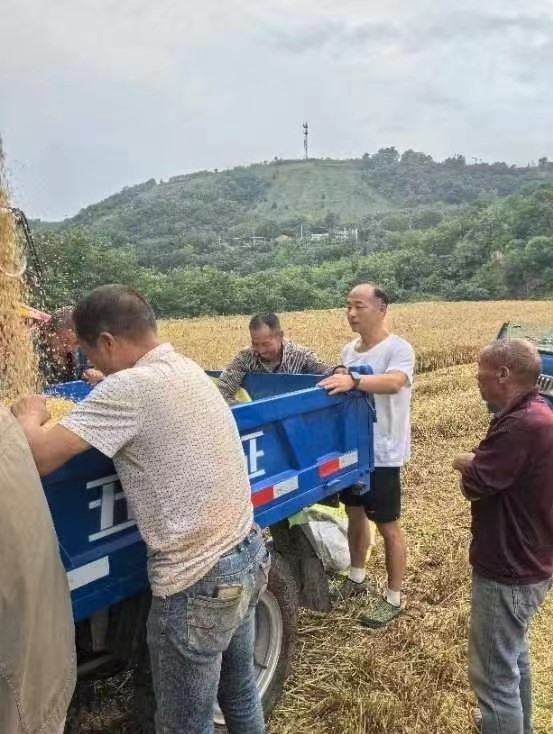 村落振兴工作动态（第158期）