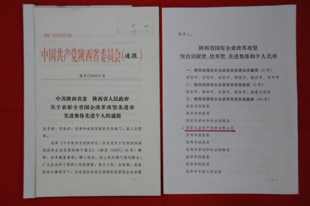 2009年2月，被陕西省委、省敌灾授予陕西省国有企业鼎新攻坚先进集体
