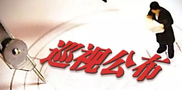 中共西安工业资产经营公司党委关于巡视整改情况的传递