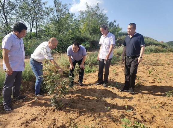 金辉赴马王村钻研集团扶贫工作